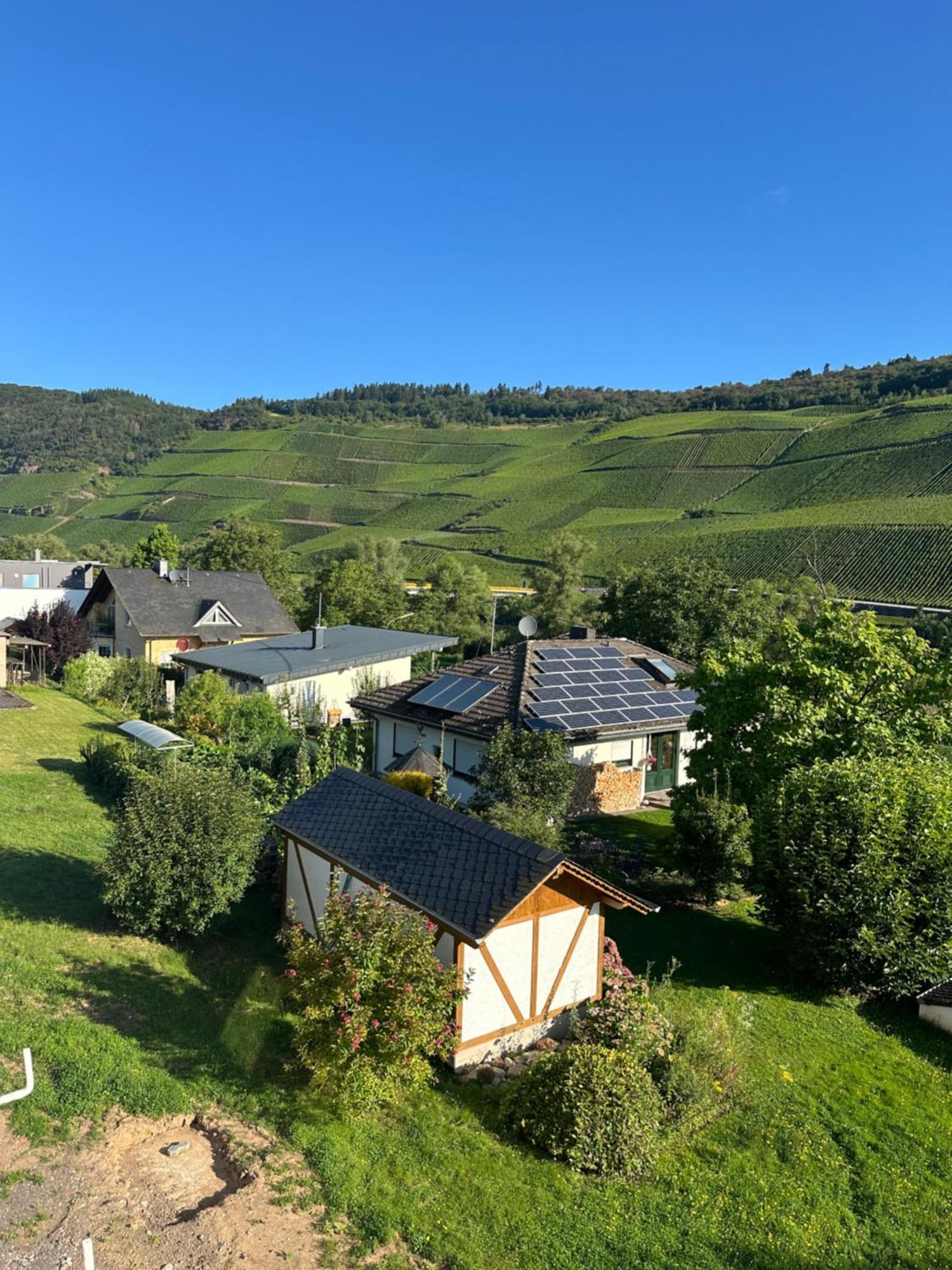 Moselappartements By Weingut Marco Adamy Lösnich Zewnętrze zdjęcie