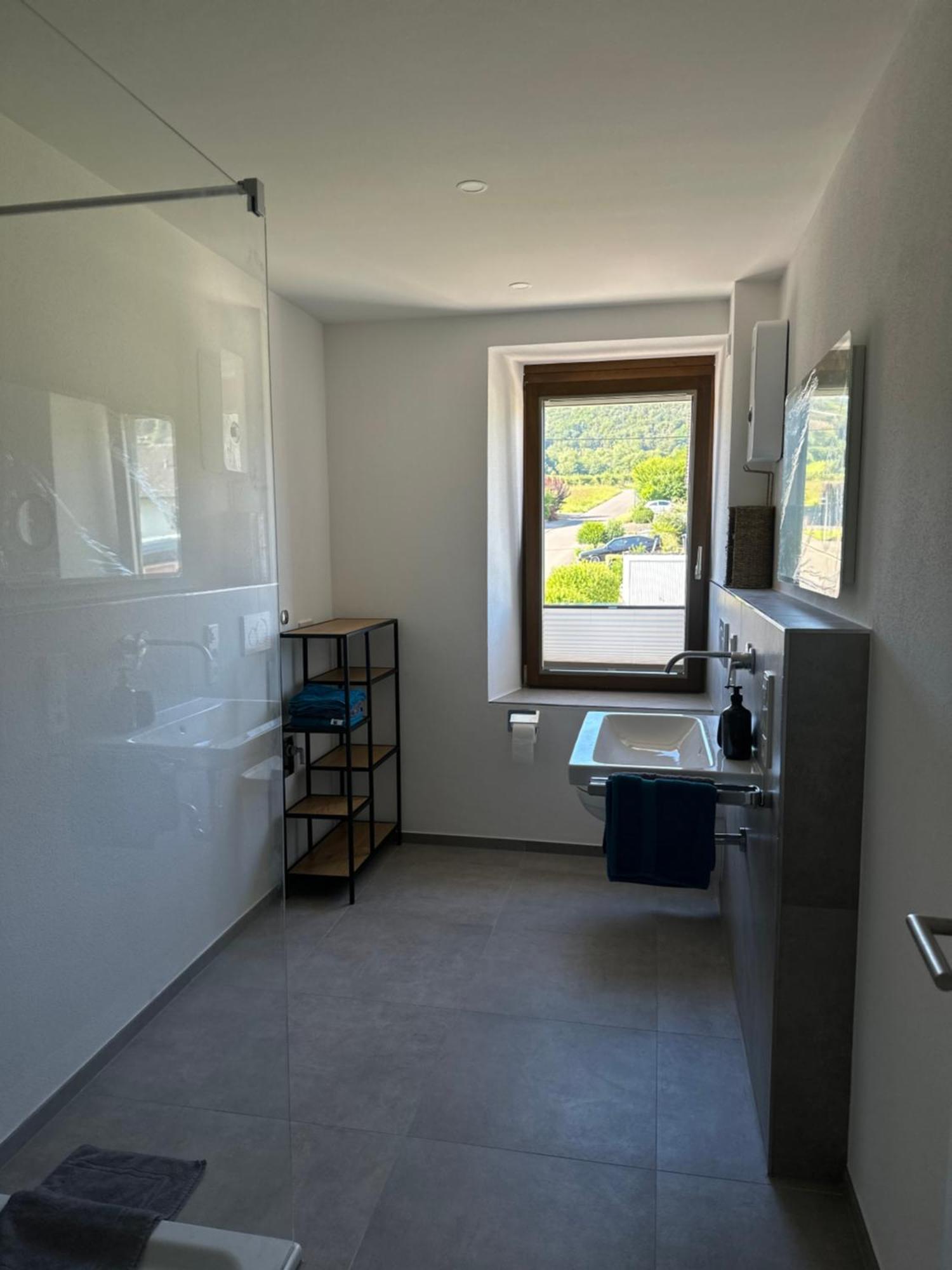 Moselappartements By Weingut Marco Adamy Lösnich Zewnętrze zdjęcie