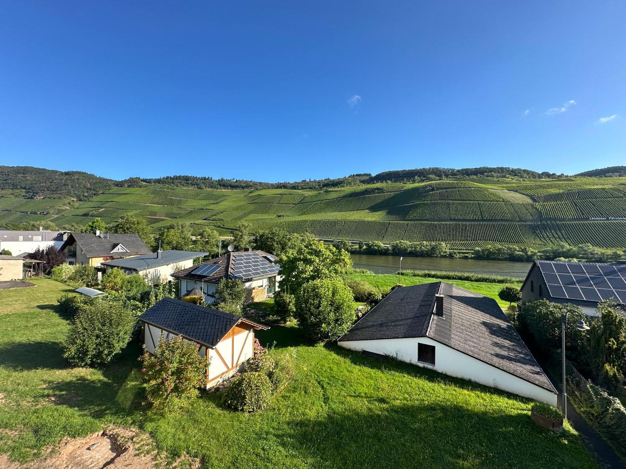 Moselappartements By Weingut Marco Adamy Lösnich Zewnętrze zdjęcie