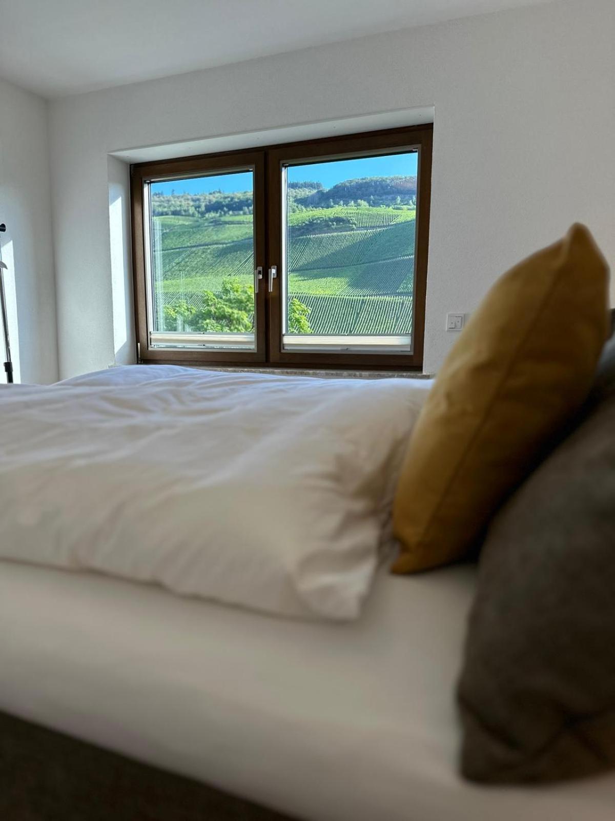 Moselappartements By Weingut Marco Adamy Lösnich Zewnętrze zdjęcie