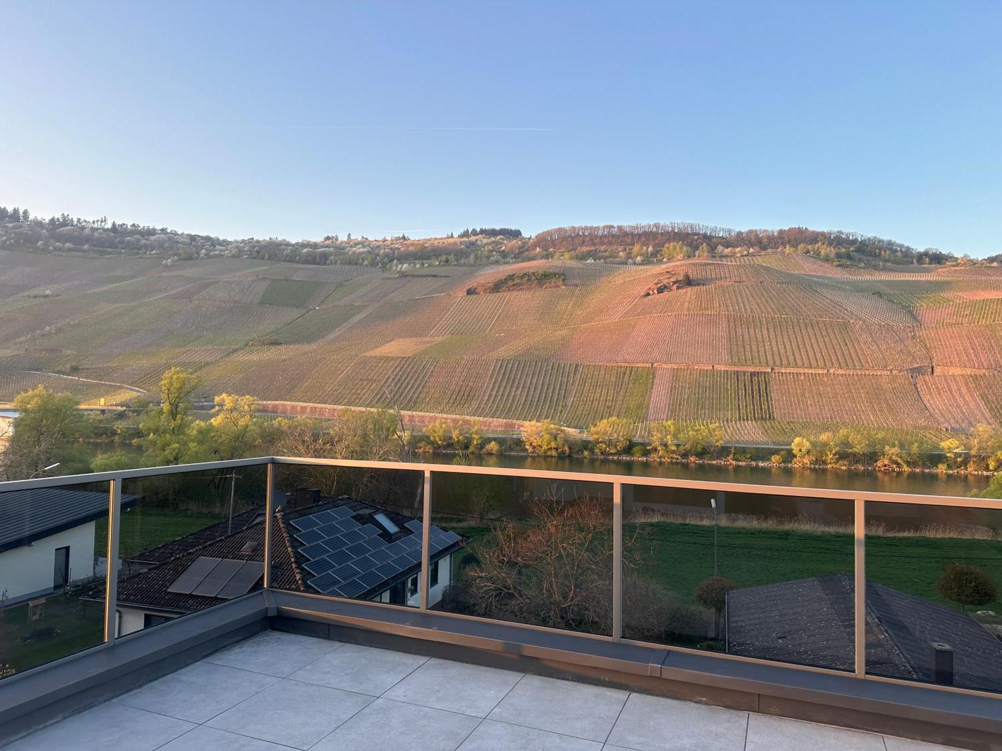Moselappartements By Weingut Marco Adamy Lösnich Zewnętrze zdjęcie