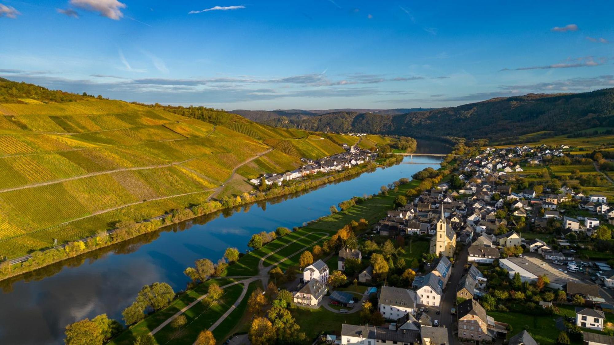 Moselappartements By Weingut Marco Adamy Lösnich Zewnętrze zdjęcie