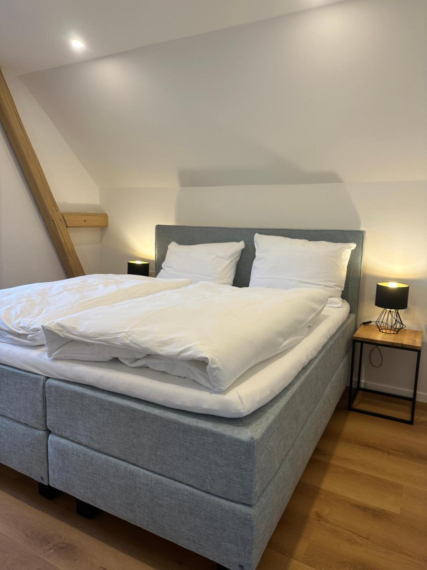 Moselappartements By Weingut Marco Adamy Lösnich Zewnętrze zdjęcie