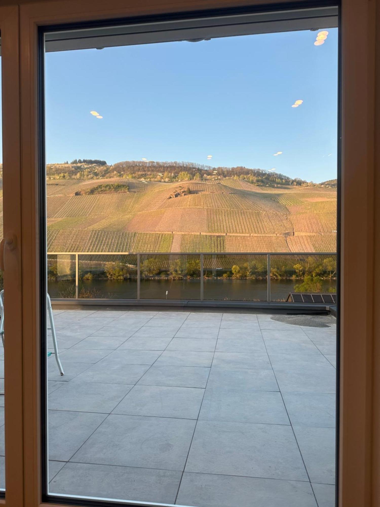 Moselappartements By Weingut Marco Adamy Lösnich Zewnętrze zdjęcie