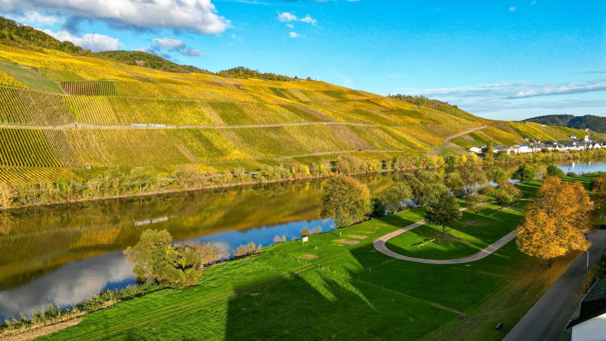 Moselappartements By Weingut Marco Adamy Lösnich Zewnętrze zdjęcie
