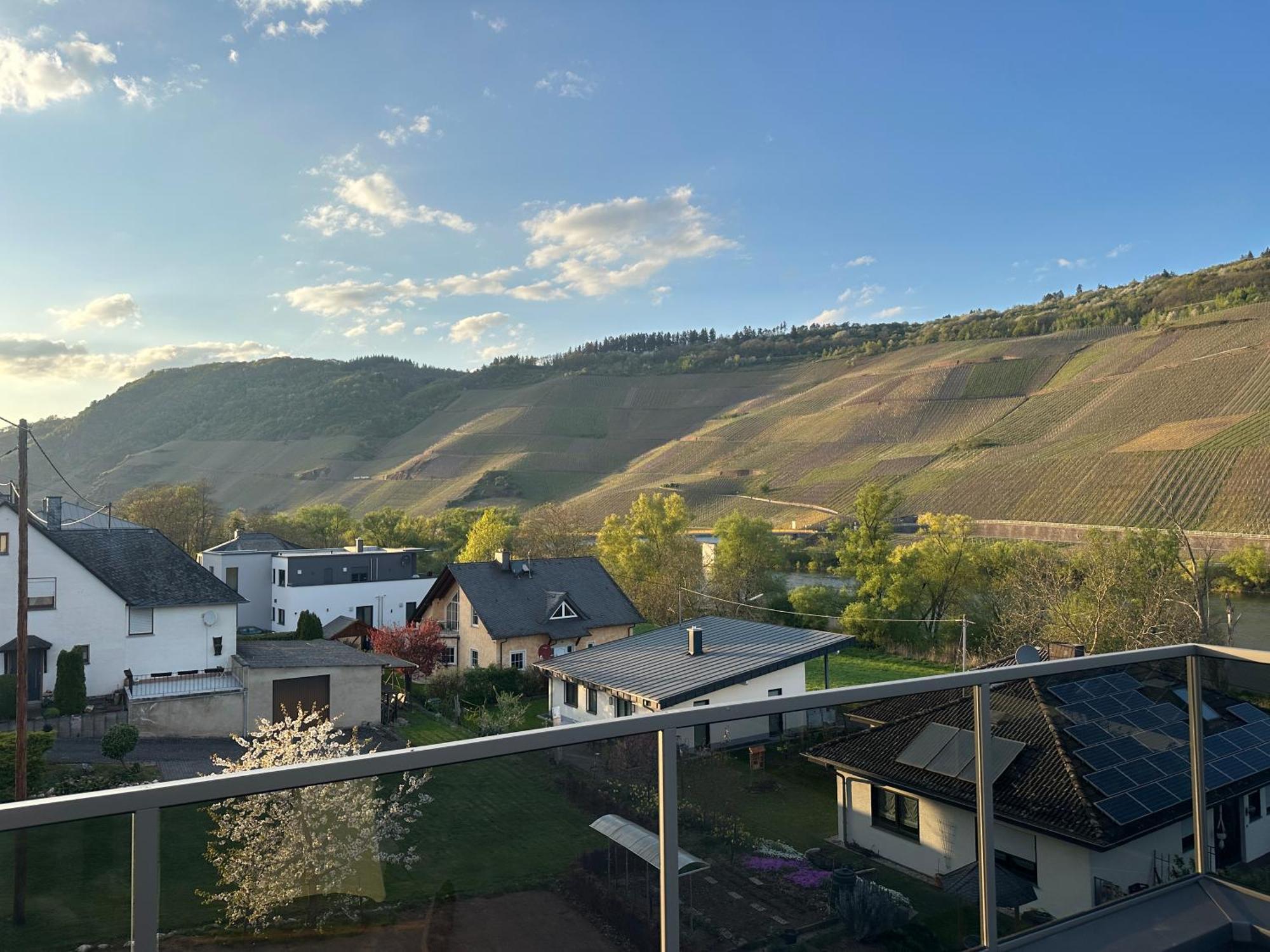 Moselappartements By Weingut Marco Adamy Lösnich Zewnętrze zdjęcie
